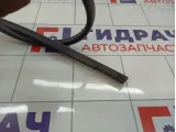 Молдинг крыши правый Toyota Corolla (E120) 75555-12100