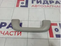 Ручка внутренняя потолочная Toyota Corolla (E150) 74610-52020-B1