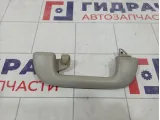Ручка внутренняя потолочная Toyota Corolla (E150) 74610-52030-B1