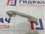 Ручка внутренняя потолочная Toyota Corolla (E150) 74610-52020-B1