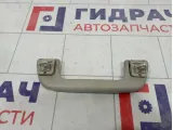 Ручка внутренняя потолочная Toyota Corolla (E150) 74610-52020-B1