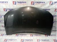 Капот Toyota Corolla (E150) 53301-12A20