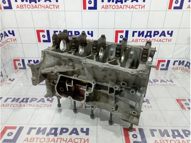 Блок двигателя Toyota Corolla (E150) 11410-39015
