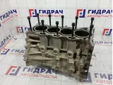 Блок двигателя Toyota Corolla (E150) 11410-39015