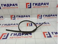 Молдинг крыши левый Toyota Corolla (E150) 75556-12150