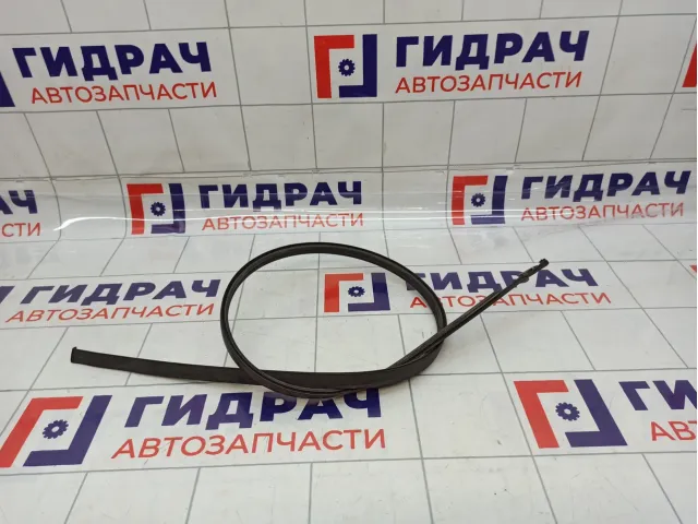 Молдинг крыши левый Toyota Corolla (E150) 75556-12150