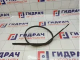 Молдинг крыши левый Toyota Corolla (E150) 75556-12150