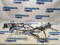 Проводка моторная Toyota Corolla 150 8212112D70 Отличное состояние.