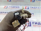 Проводка двери задней правой Toyota Corolla (E120) 8215312390