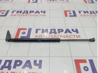 Амортизатор крышки (двери) багажника левый Toyota Corolla (E120) 689600W060