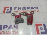 Петли двери передней левой Toyota Corolla (E120)