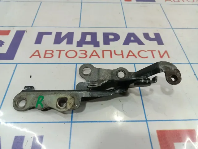 Петля капота правая Toyota Corolla (E120) 53410-02041