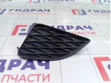Заглушка противотуманной фары левая Toyota Corolla 8148212060
