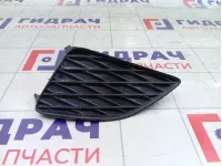 Заглушка противотуманной фары левая Toyota Corolla 8148212060