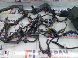 Проводка подкапотная Toyota Corolla 821111AA50