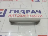 Ручка потолочная Toyota Corolla 7461052020B1