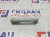 Ручка потолочная Toyota Corolla 7461052030B1