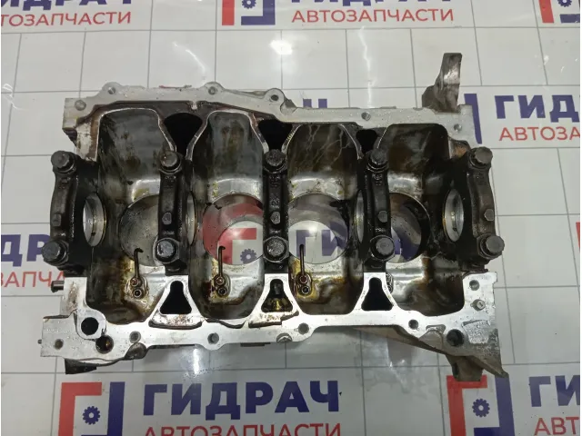 Блок цилиндров Toyota Corolla 1141039015