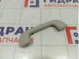 Ручка потолочная Toyota Corolla (E150) 7461052020B1
