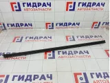 Уплотнитель стекла передний правый Toyota Corolla (E150) 6817112340