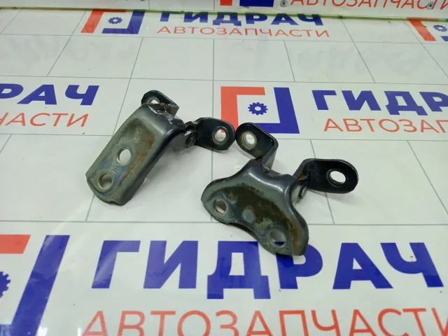 Петли двери передней левой Toyota Corolla