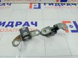 Петли двери задней левой Toyota Corolla