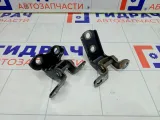 Петли двери задней правой Toyota Corolla