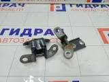 Петли двери задней правой Toyota Corolla