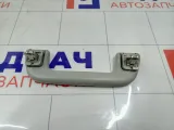 Ручка потолочная Toyota Corolla 7461052020B1