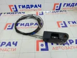 Ручка открывания лючка бензобака Toyota Corolla 6460633030