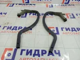Петли крышки (двери) багажника Toyota Corolla 6450312170