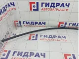 Молдинг крыши левый Toyota Corolla 7555602220