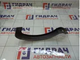 Накладка петли багажника левая Toyota Corolla 6457202010