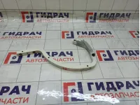 Петля багажника Toyota Corolla 6450302160