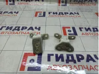 Петли двери передней правой Toyota Corolla