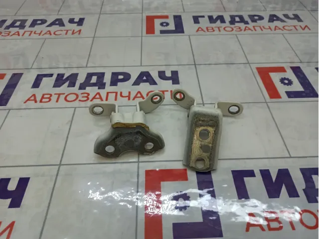 Петли двери задней левой Toyota Corolla