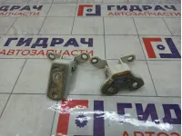 Петли двери задней правой Toyota Corolla