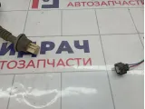 Проводка двери задней правой Toyota Corolla (E120) 82153-12400