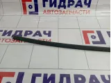 Молдинг крыши правый Toyota Corolla (E120) 75555-12100