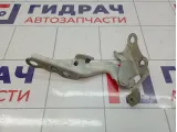 Петля капота правая Toyota Corolla (E120) 53410-12410