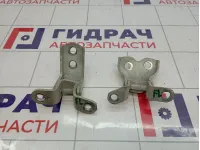 Петли двери передней левой Toyota Corolla (E120)