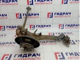Кулак поворотный задний правый Toyota Corolla (E120) 42304-63010