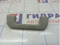 Ручка внутренняя потолочная Toyota Corolla (E180) .