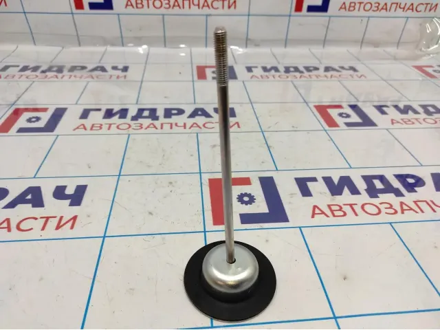Болт крепления запасного колеса Toyota Corolla E18 5190012230.