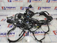 Проводка (коса) подкапотная Toyota Corolla E18 821160ZJ01.