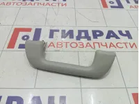 Ручка потолочная Toyota Corolla Verso 7461005070B0