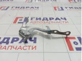 Петля капота правая Toyota Corolla Verso 534100F010