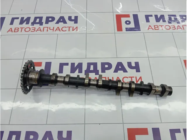 Распредвал выпускной Toyota Corolla Verso 135020D021