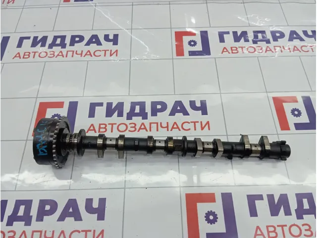 Распредвал впускной Toyota Corolla Verso 135010D021