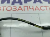 Датчик ABS передний правый Toyota Corolla Verso 8954202040